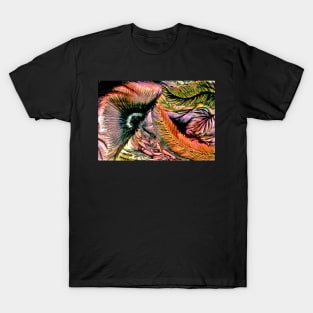 feathers and ferns T-Shirt